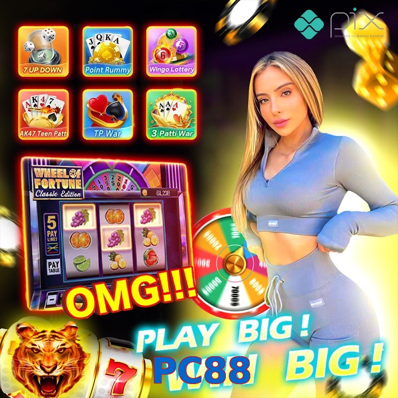 PC88