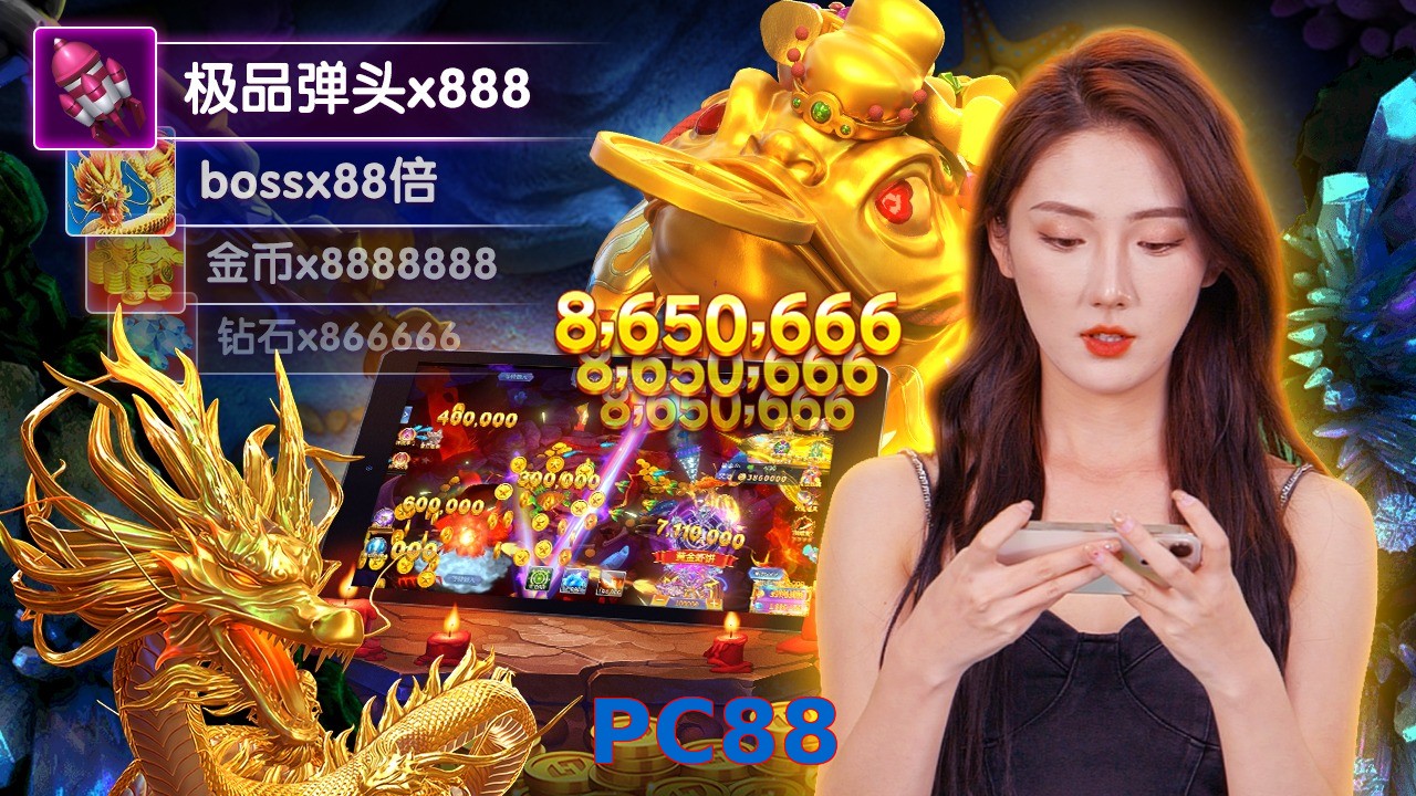 PC88